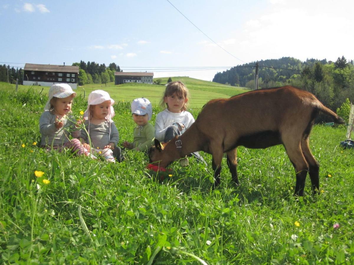 Bauernhof Bilgeri Villa Hittisau Dış mekan fotoğraf