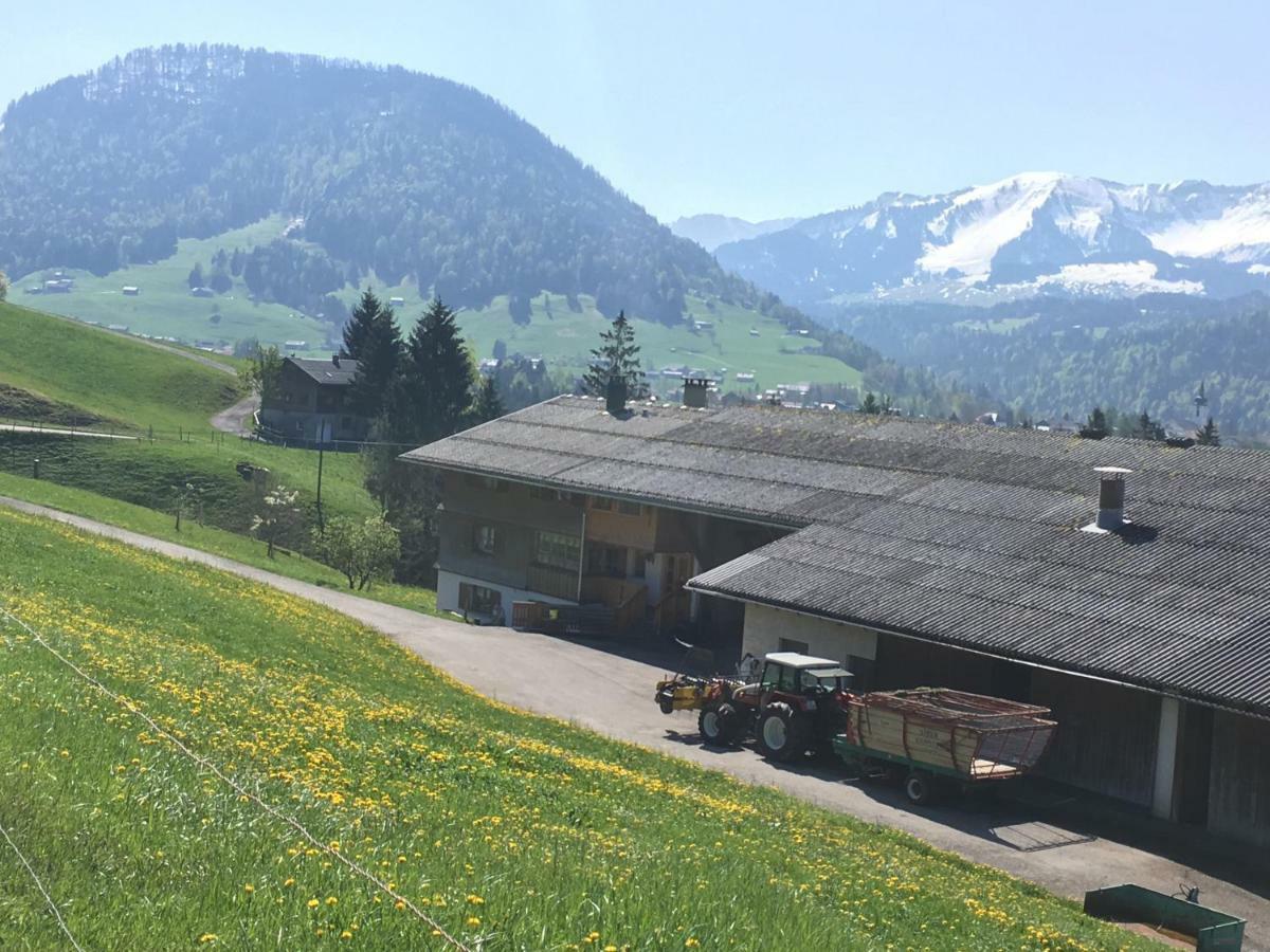 Bauernhof Bilgeri Villa Hittisau Dış mekan fotoğraf