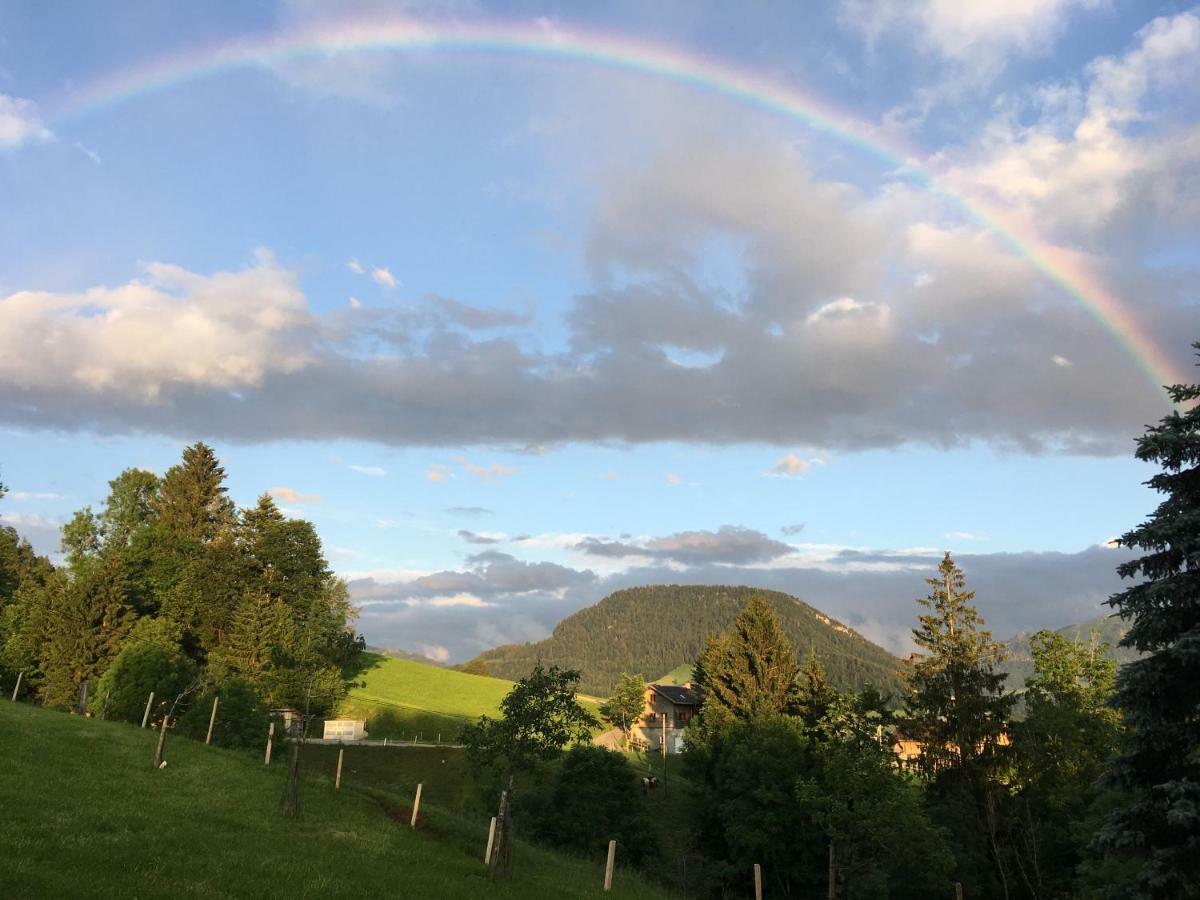 Bauernhof Bilgeri Villa Hittisau Dış mekan fotoğraf